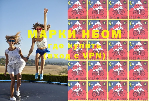 Альфа ПВП Инта