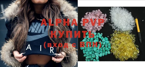 индика Арсеньев
