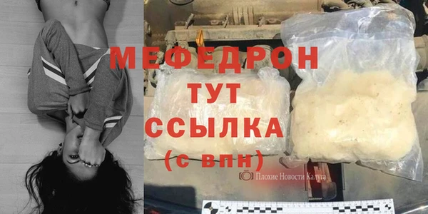 индика Арсеньев