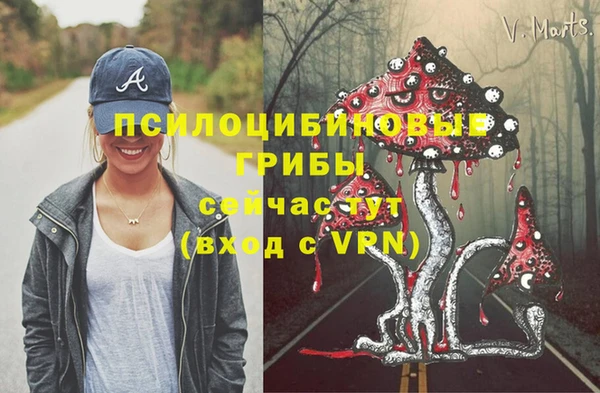 дурь Балахна