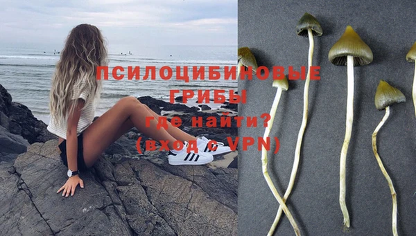 индика Арсеньев