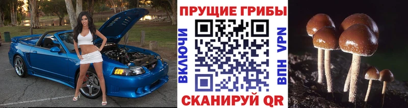купить  сайты  Котельниково  mega сайт  Псилоцибиновые грибы ЛСД 